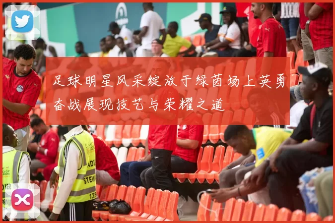 足球明星风采绽放于绿茵场上英勇奋战展现技艺与荣耀之道