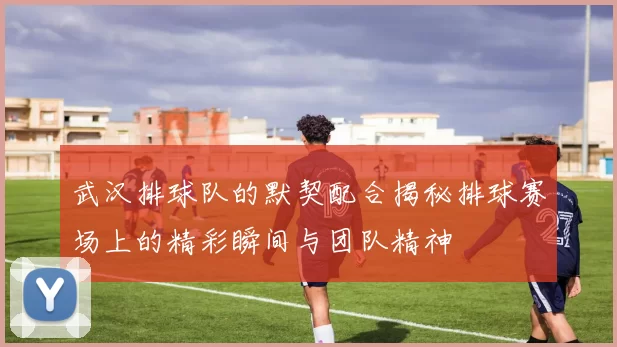 武汉排球队的默契配合揭秘排球赛场上的精彩瞬间与团队精神